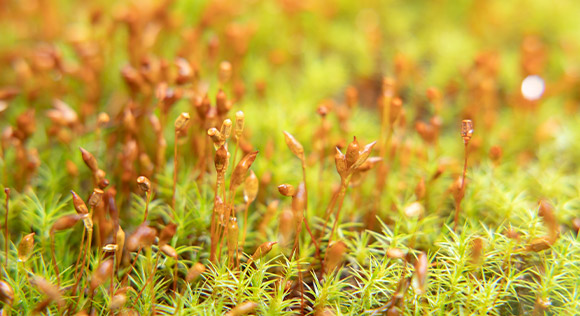 一つひとつの庭に、丁寧に向き合うために