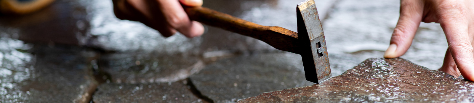 私たちについて