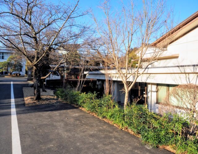 桜を残す想いとともに